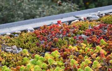 the cost of Sopwell green roof installation